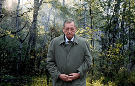 Lasy Bawarii to nie Puszcza Białowieska. Nowa manipulacja Szyszki Lasy Bawarii to nie Puszcza Białowieska. Nowa manipulacja Szyszki