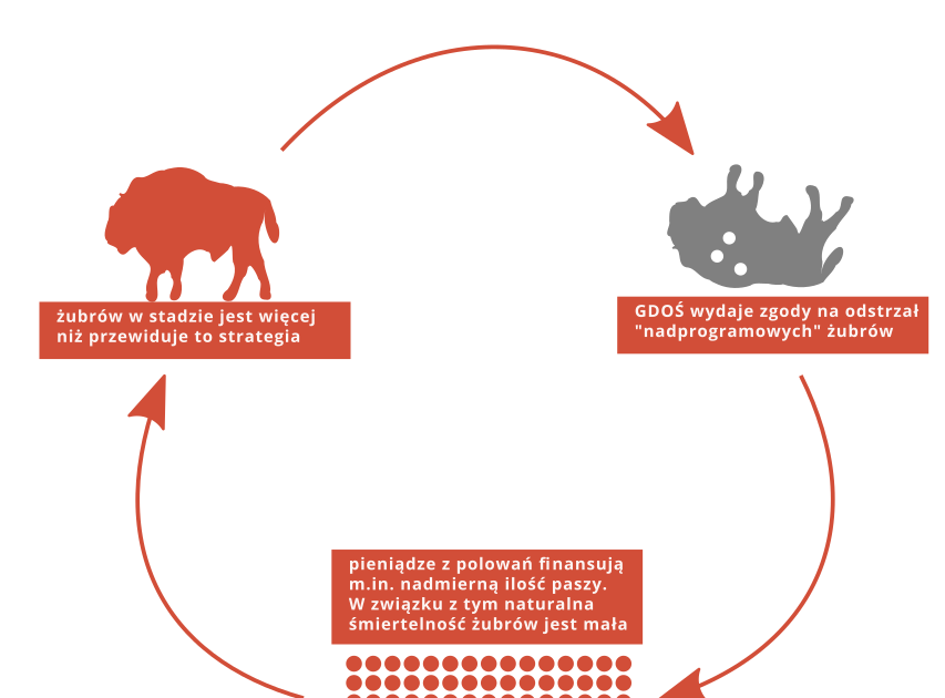 Fot. Greenpeace Polska