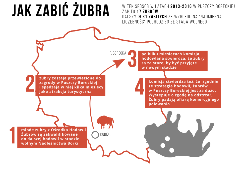 Źródło: Greenpeace Polska