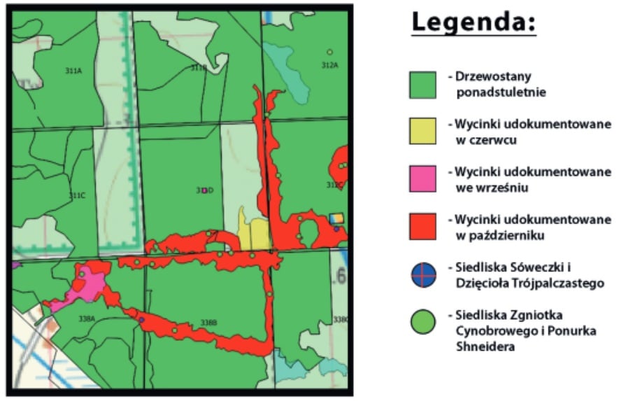 Źródło: "Raport z Wilczej Tryby"
