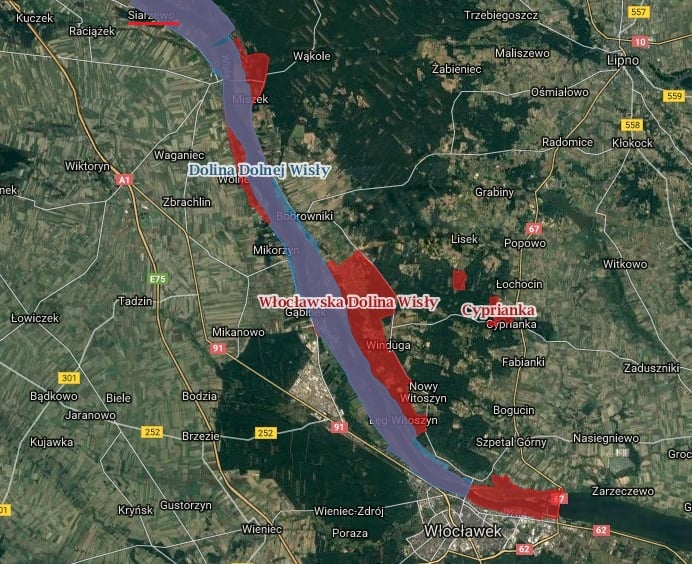 Zdjęcie satelitarne pokazuje lokację najbardziej zagrożonego budową stopnia w Siarzewie obszaru NATURA 2000 - Włocławskiej Doliny Wisły. A także część innego obszaru, któremu grożą zniszczenia - Doliny Dolnej Wisły. Nazwę Siarzewa, gdzie ma powstać kolejny stopień wodny, zaznaczono czerwonym podkreśleniem. Źródło: http://geoserwis.gdos.gov.pl