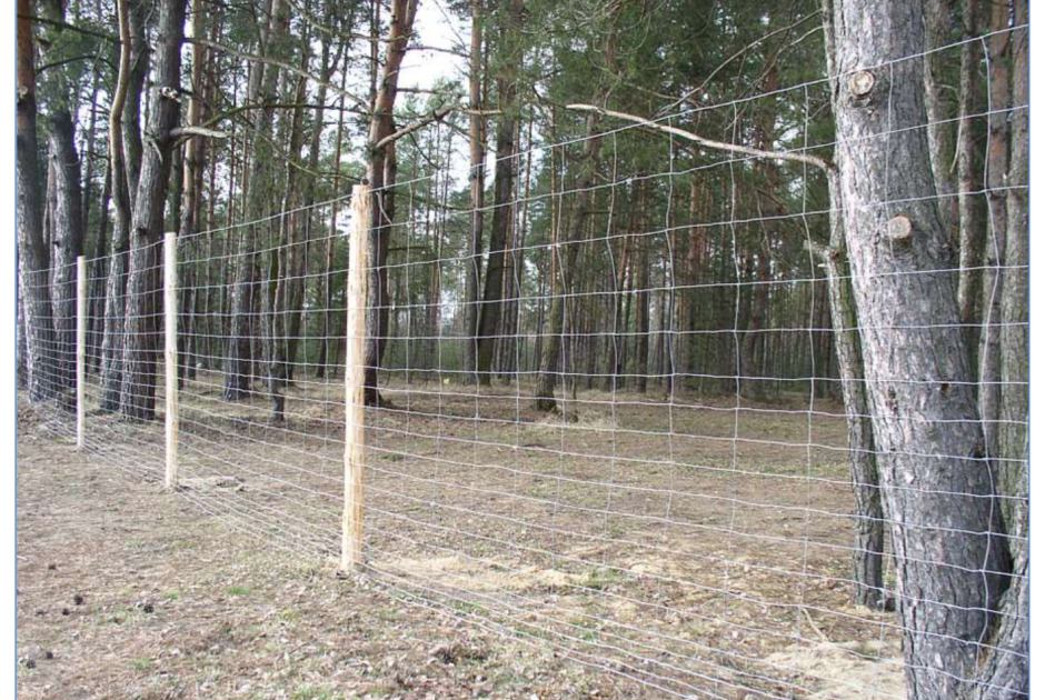 Fot. Ministerstwo Rolnictwa i Rozwoju Wsi