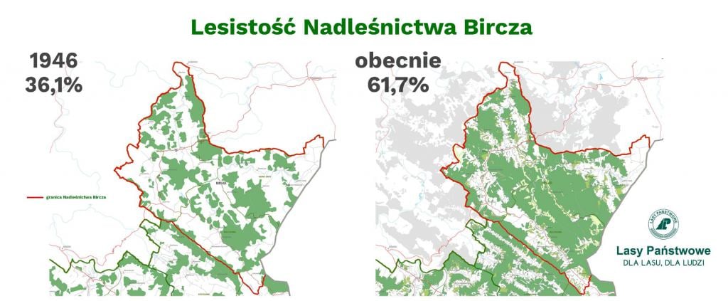 Źródło: Lasy Państwowe