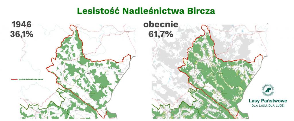 Źródło: Lasy Państwowe
