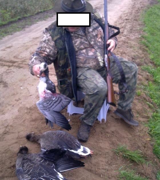Myśliwy trzyma w ręku martwą berniklę białolicą. Fot. Niech Żyją!