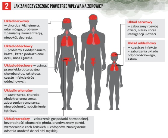 Źródło: Raport "Poza kontrolą – analiza systemu kontroli palenisk domowych", Polski Alarm Smogowy, Kraków 2018