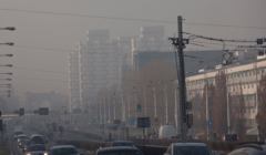 Smog na ulicach Wrocławia