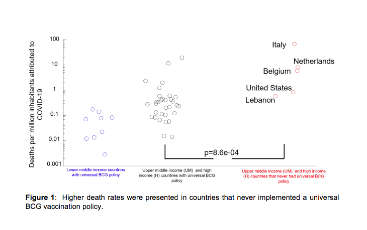 [Obrazek: bez-nazwy.png]
