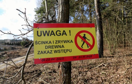 Leśnicy traktują obywateli z góry, manipulują, sięgają po przemoc. Dlaczego? Bo się boją [ROZMOWA]