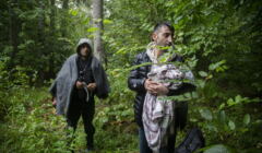 Uchodzcy odnalezieni w Puszczy Bialowieskiej