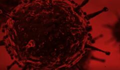Powiekszony obraz koronawirusa w ciemnoczerwonym zabarwieniu