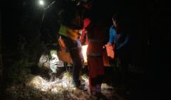 Ratownicy w nocy w lesie udzielają pomocy leżącej osobie