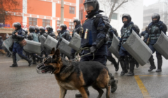 Policjanci w rynsztunku bojowym z psami idą środkiem ulicy