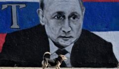 Wielki mural z podobizną twarzy Putina, ulicą biegnie mały piesek