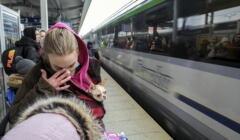 płacząca kobieta z małym pieskiem na peronie, w tle pociąg